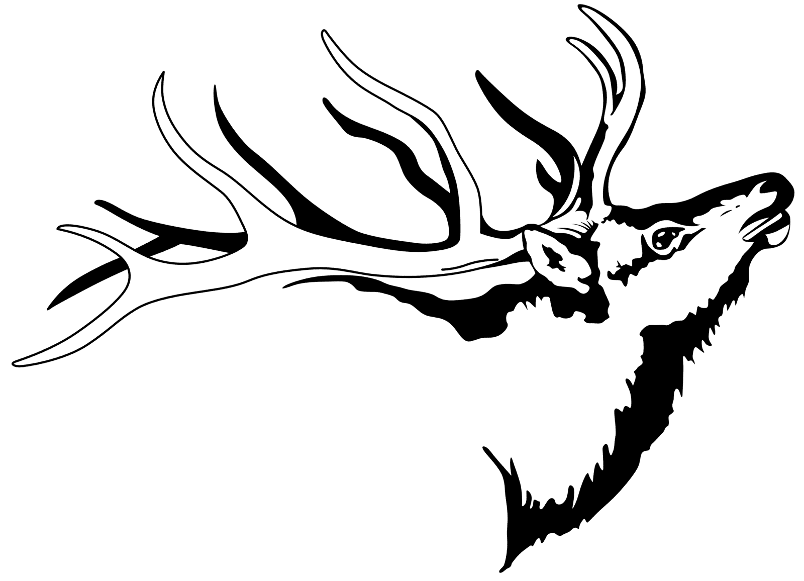 [Bulverde Roofing], "Bulverde Roofing", +Bulverde +Roofing,Bulverde Roofing, Elk Contracting